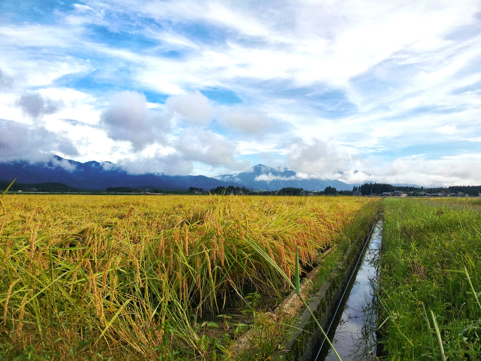 田園風景